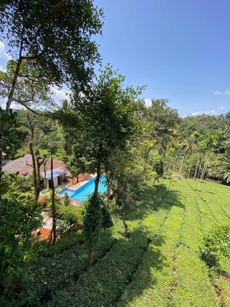 Letstay Vythiri Hill Palace Kültér fotó