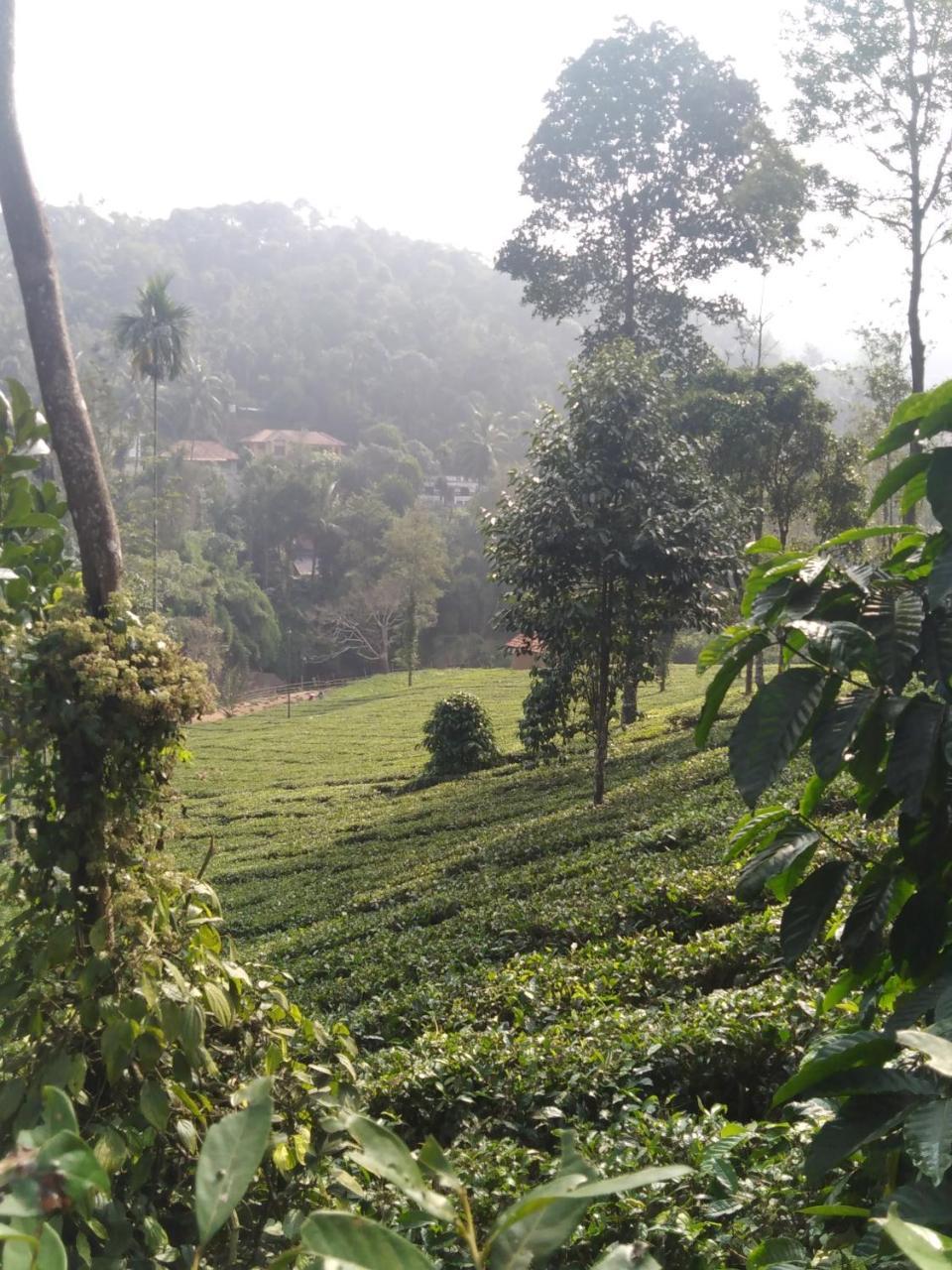 Letstay Vythiri Hill Palace Kültér fotó